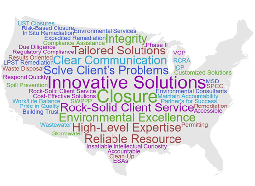Wright Environmental Services
